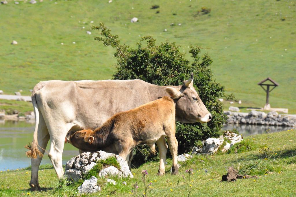 Casa Rural La Riba Sames 外观 照片