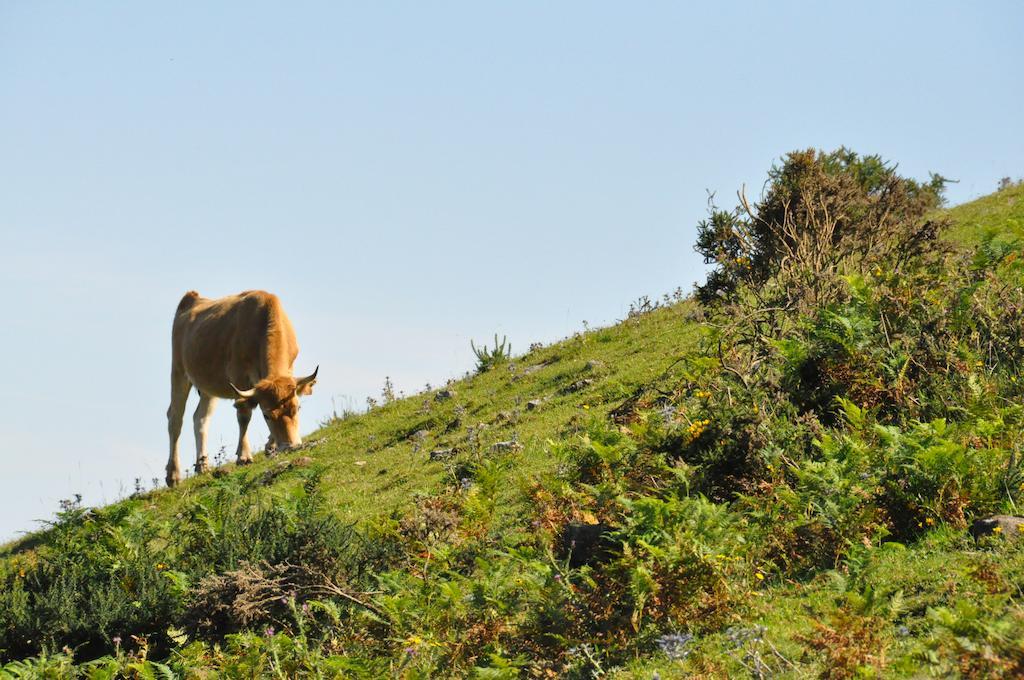 Casa Rural La Riba Sames 外观 照片