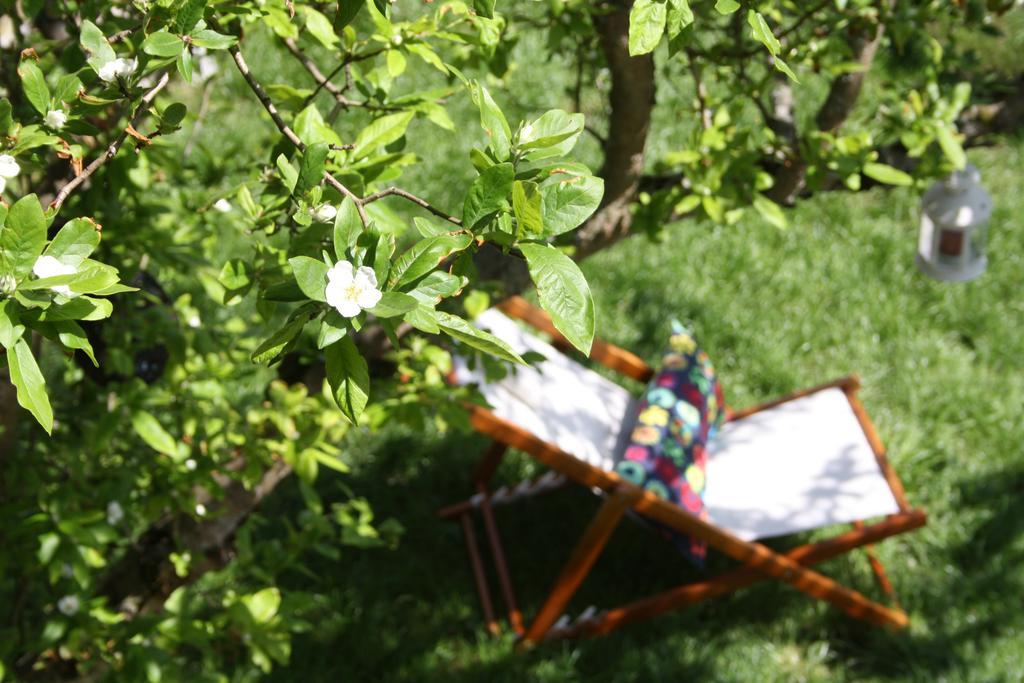 Casa Rural La Riba Sames 外观 照片
